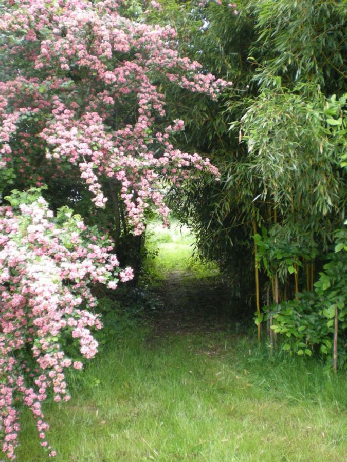 Gite Le Moulin De La Chaussee Saint-Denis-d'Orques المظهر الخارجي الصورة